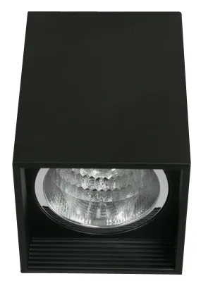 21902 Outdoor Recessed Light in Matt Black