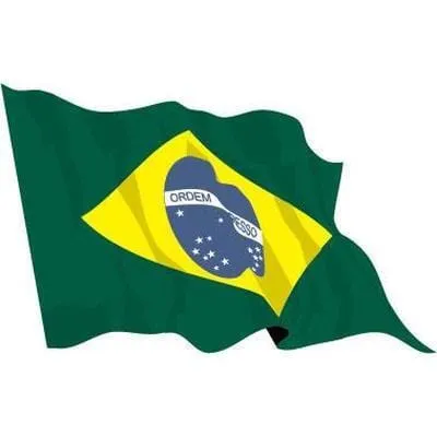 Brazil 1.52m x 0.91m (5ftx 3ft) Budget Display Flag