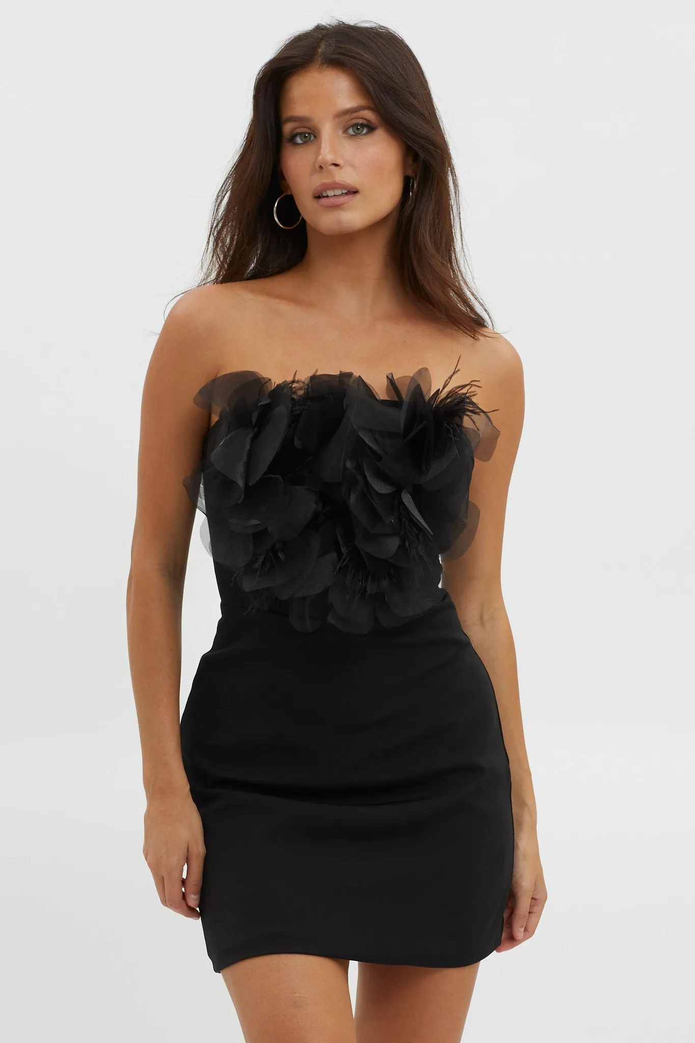 Magic At Night Embellished Bodice Dress Black